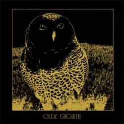 Olde Growth : Owl